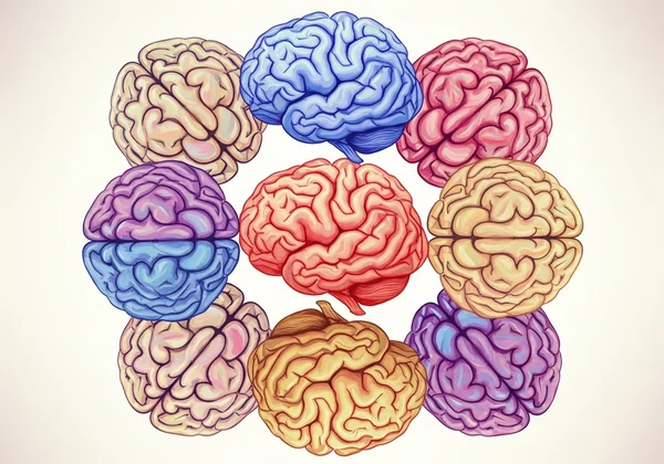 Diverse brains represented by unique colors and patterns
